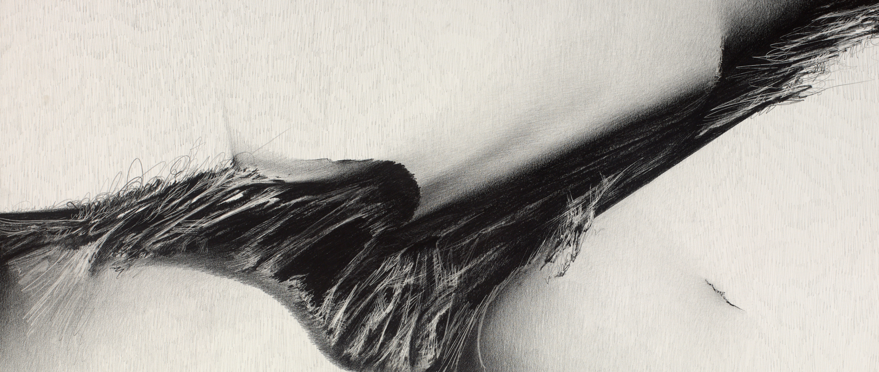 A detail of an abstract drawing