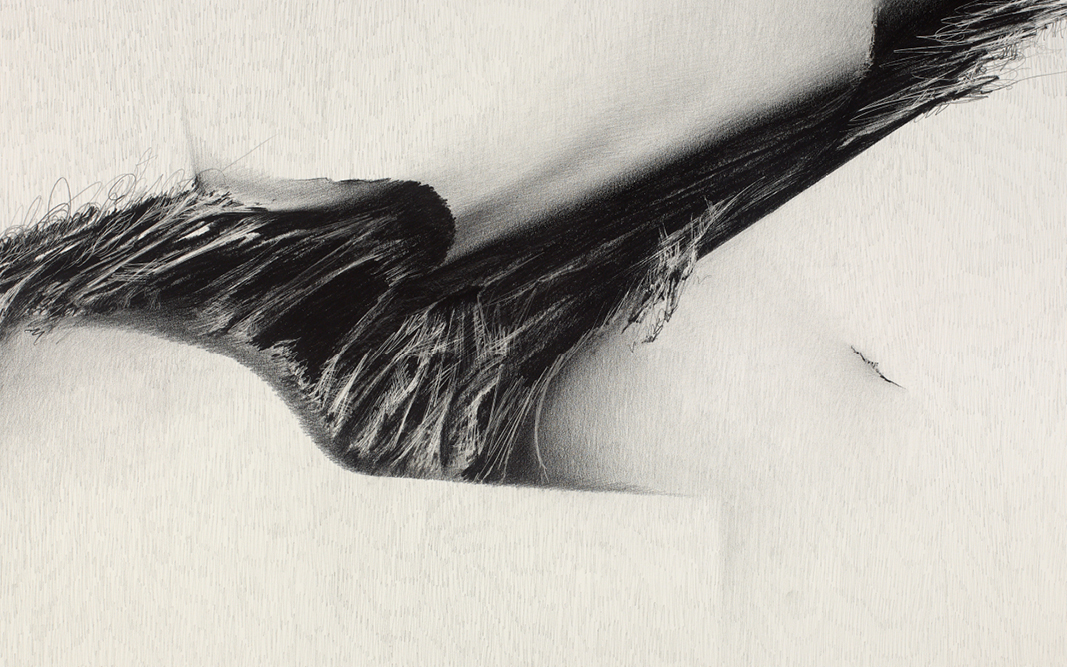 A detail of an abstract drawing