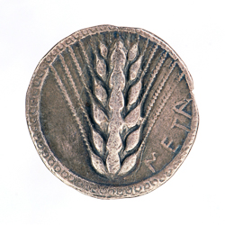 An ancient silver coin with the image of barley