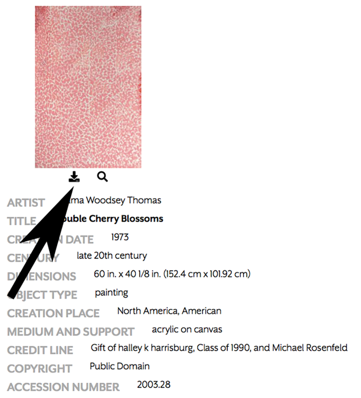 a pink abstract painting with an arrow and identifying information