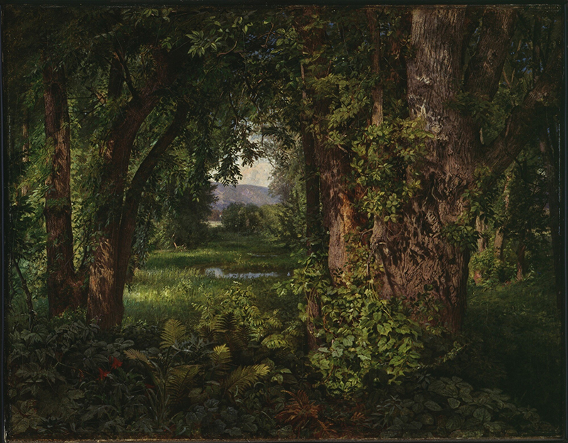 a painting of a forest with dark trees