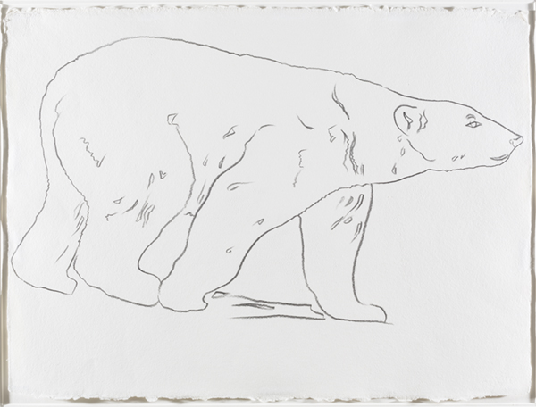 A drawing of a polar bear