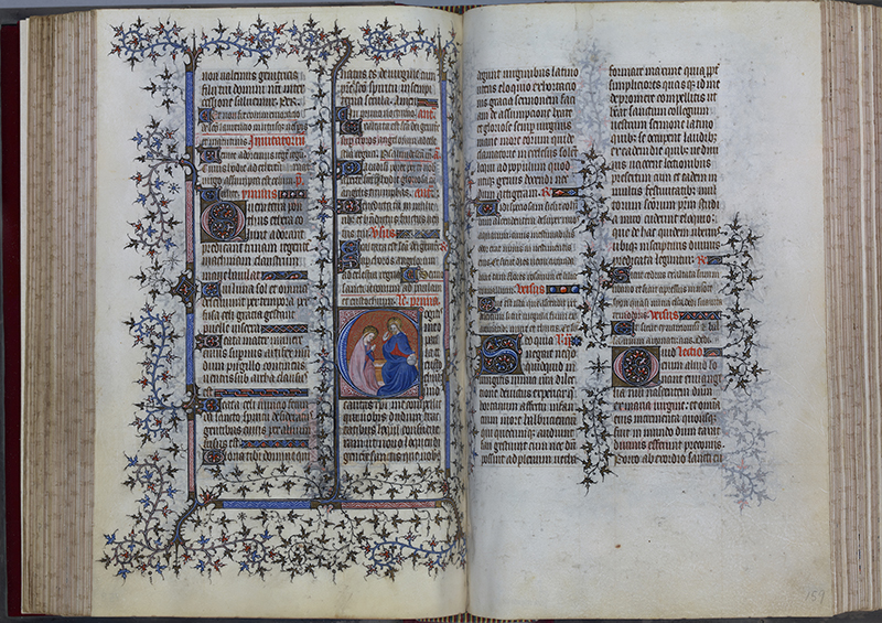 pages from a 14th century manuscript with illustrations