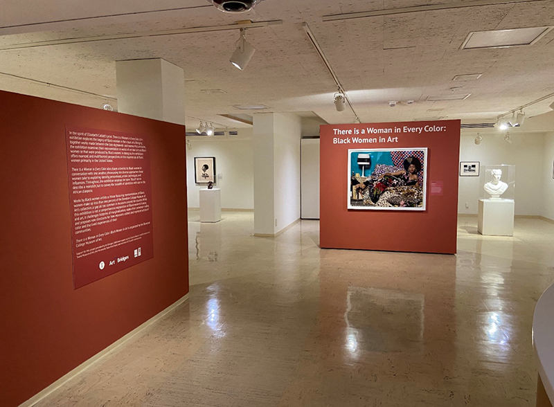 a gallery in an art museum showing a title wall and works of art