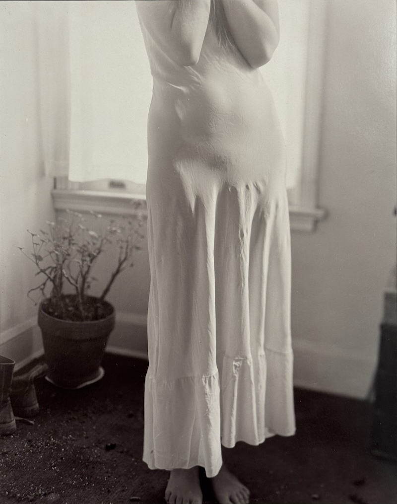 A black and white photograph of the torso and legs of a person in a dress standing near a bright window