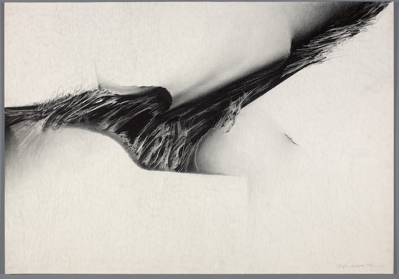 An abstract drawing shows a curving form cutting through the composition