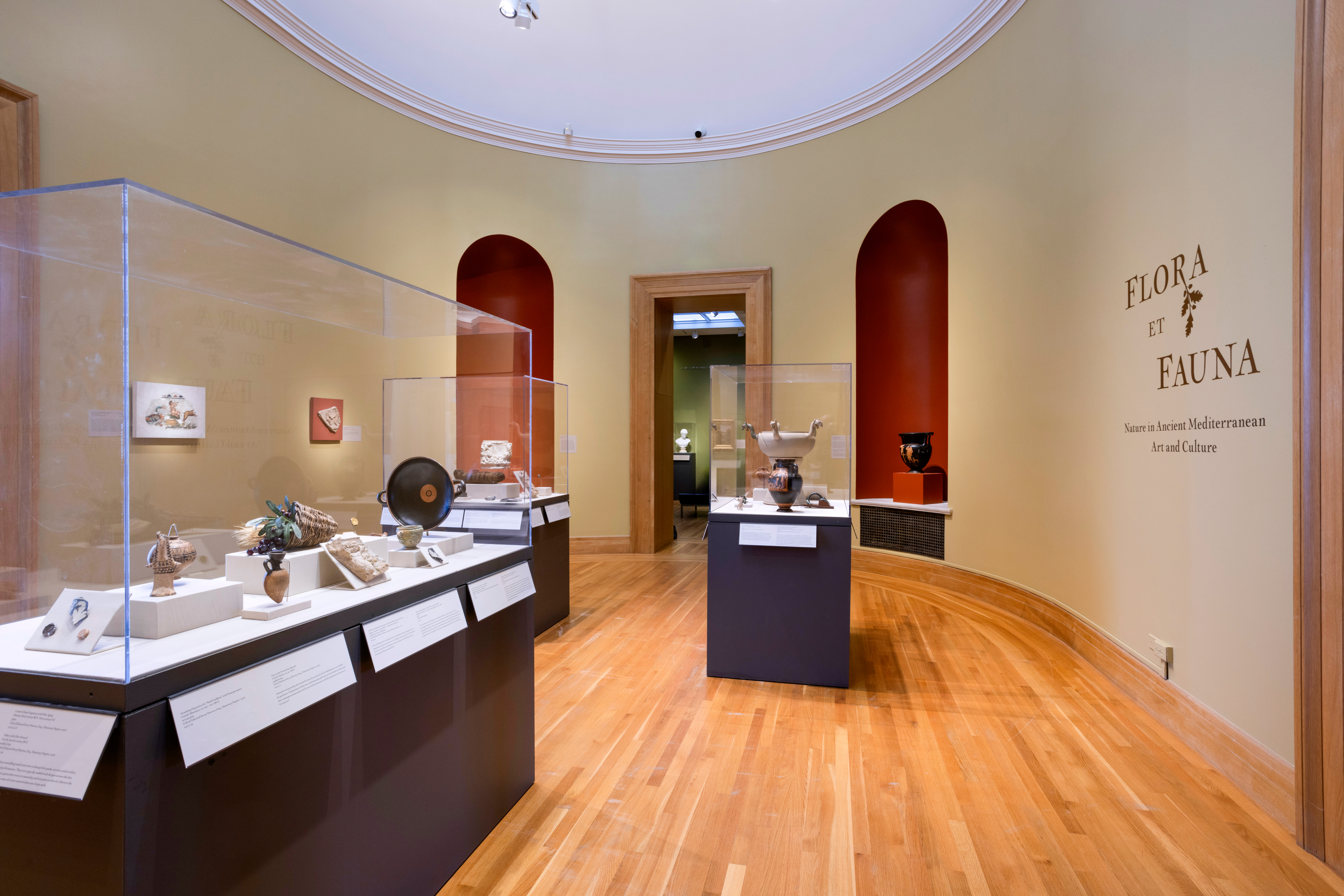 An art museum space with ancient objects in display cases