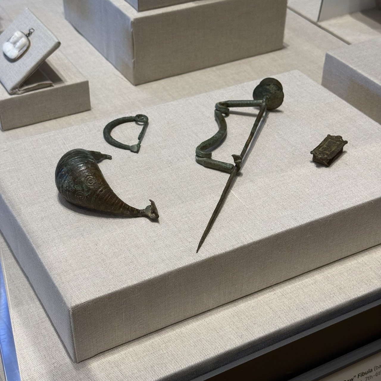 Examples of ancient fibulae and a belt buckle