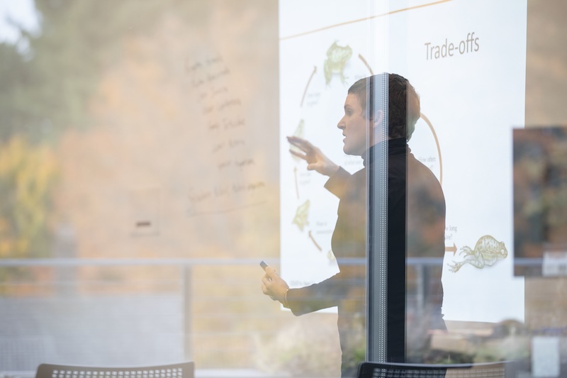 Faculty teaching a class as seen through a window reflection