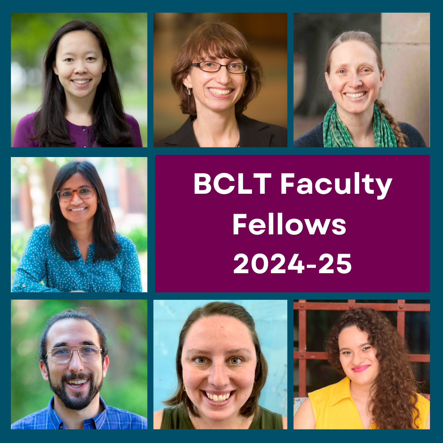 Opens Faculty Fellows Profiles with bios