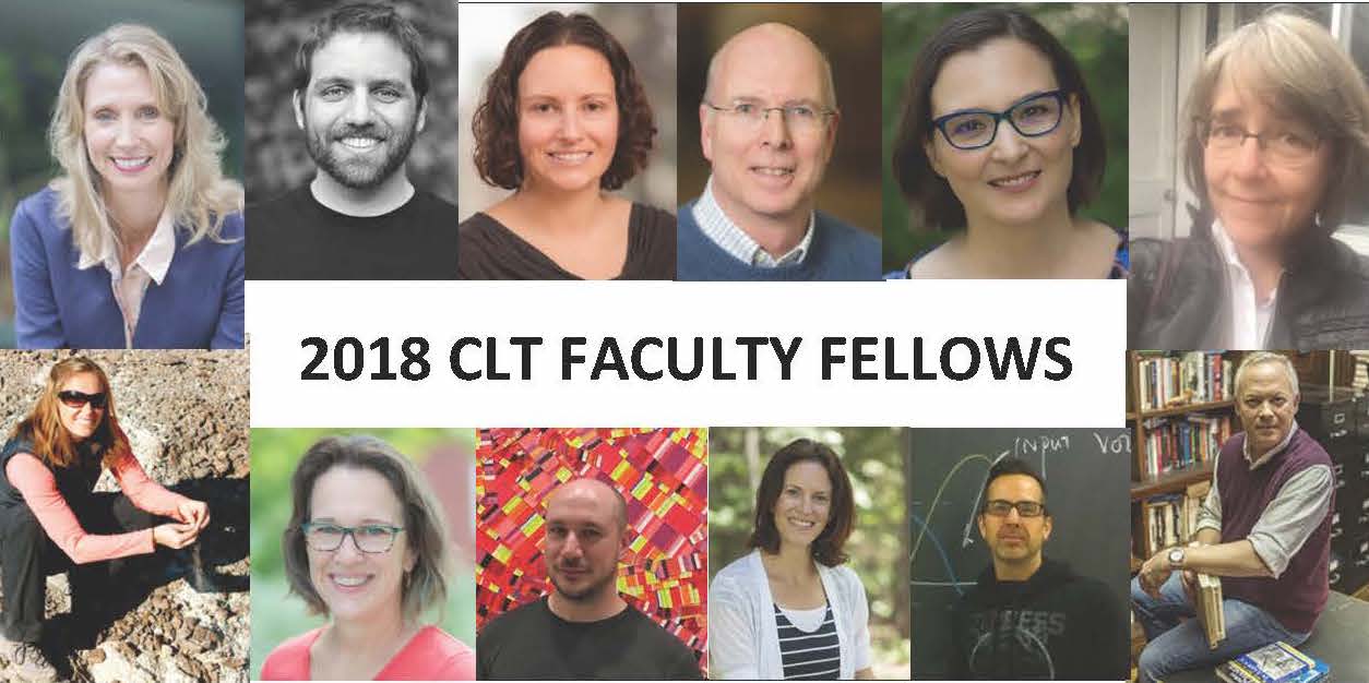 facultyfellows2018compilationpicforweb.jpg