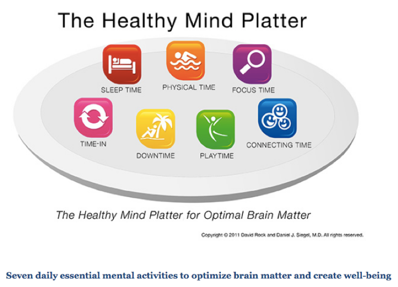 The Healthy Mind Platter. focus time, play time, physical time, time in, down time, and sleep time