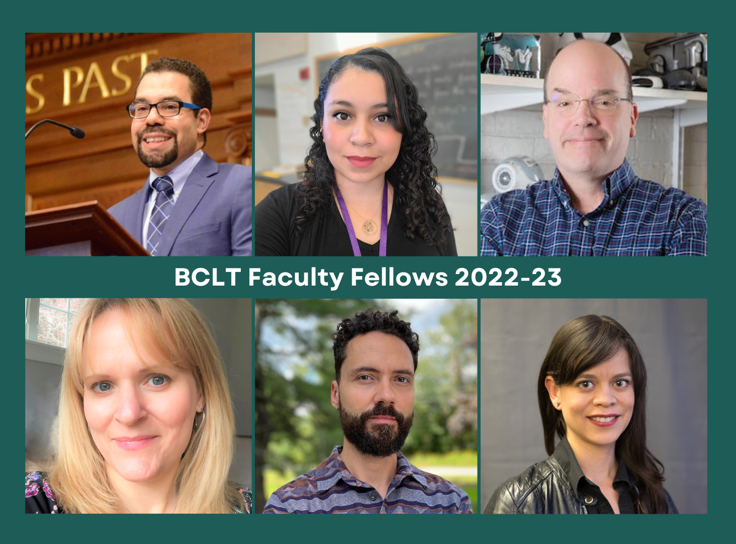 Opens Faculty Fellows Profiles with bios