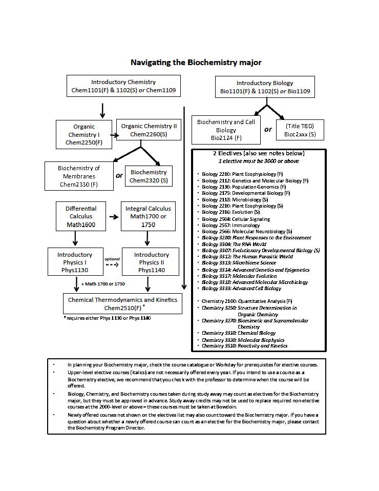 Navigating major flowchart