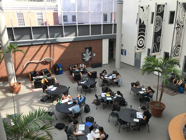 Overhead view of students studying at tables in Druckenmiller atrium