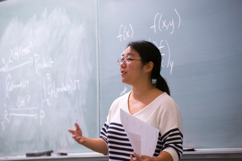 Professor Kana Takematsu Teaching