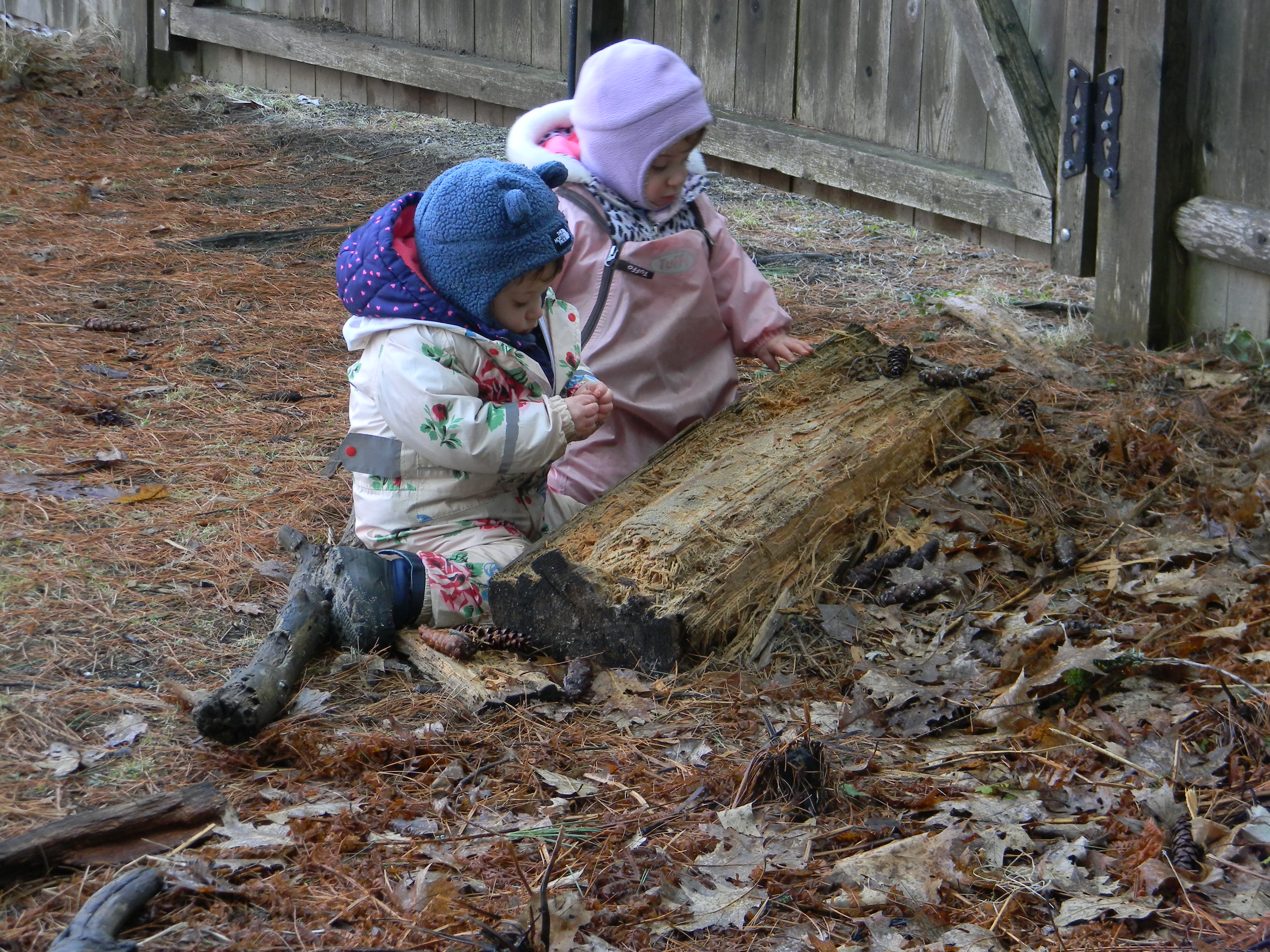 Nature Based Learning