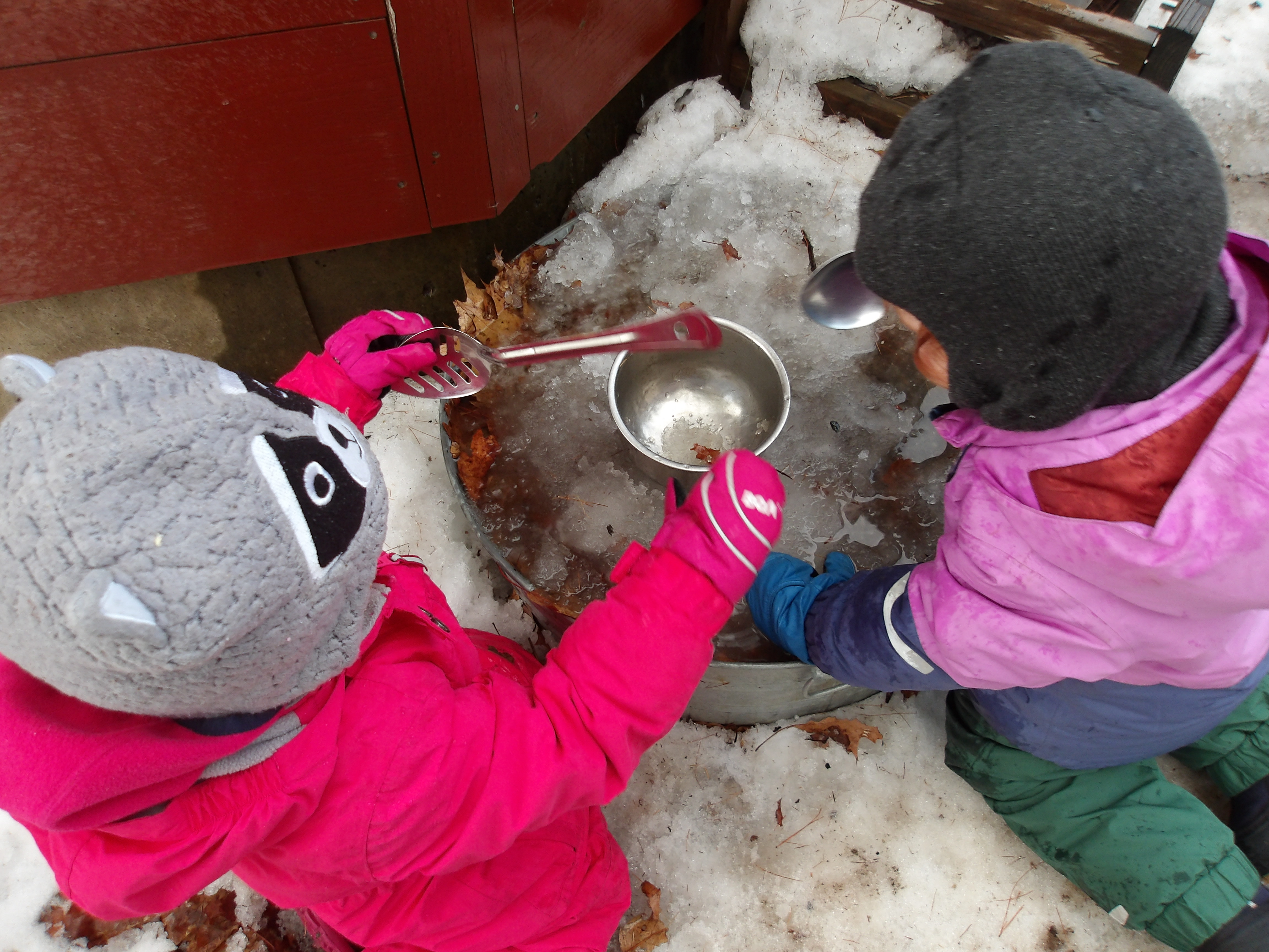 Nature Based Learning