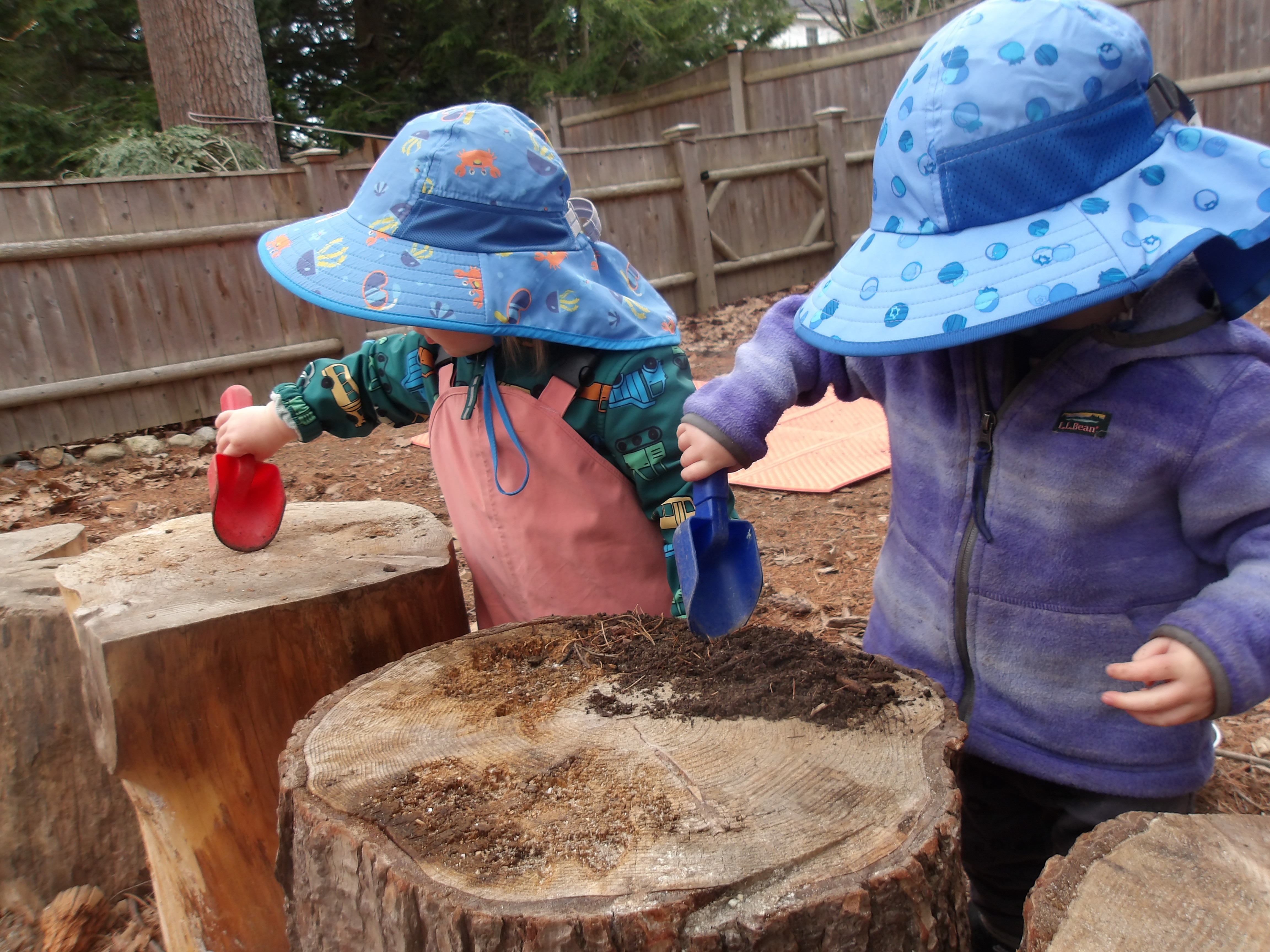 Nature Based Learning