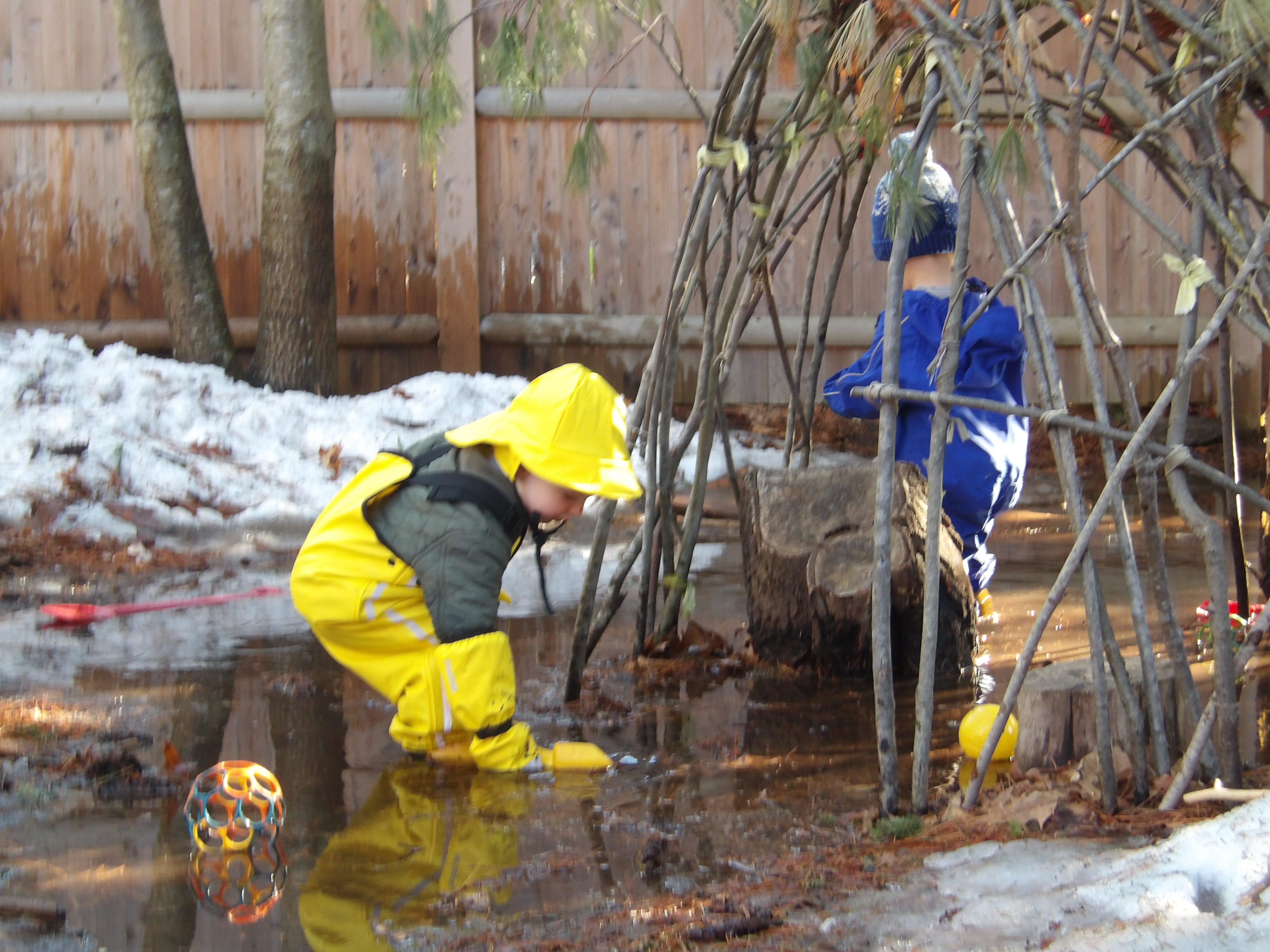 Professional Development