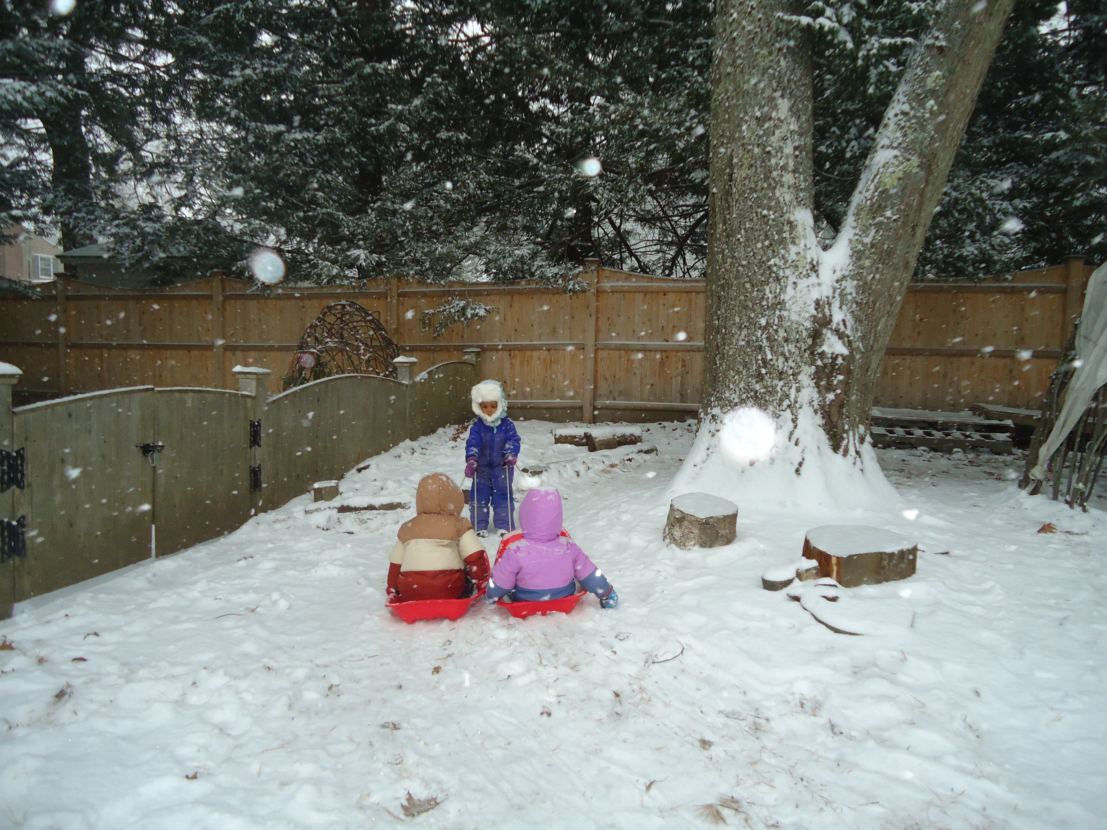 Nature based learning. 