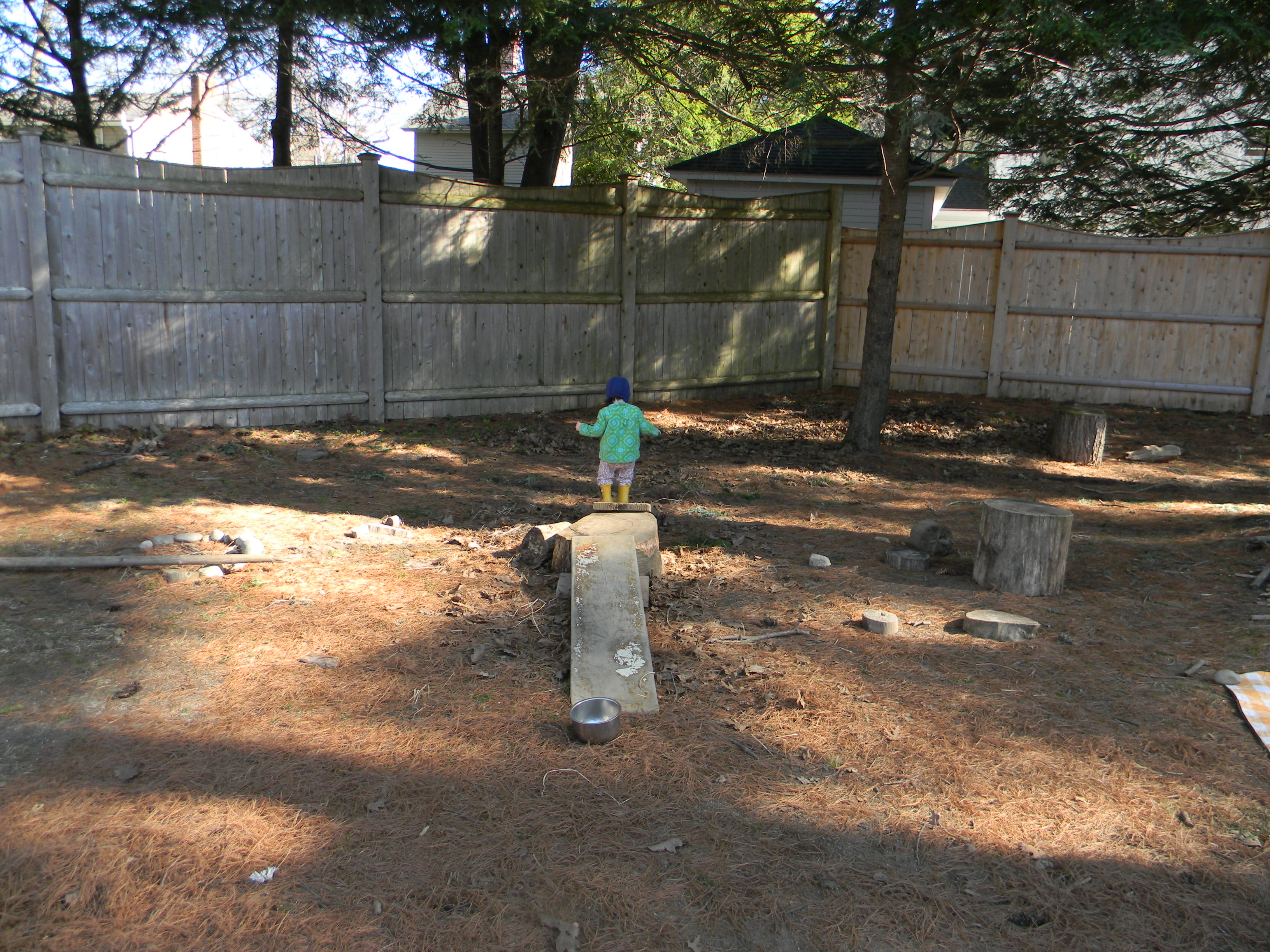 child on stump