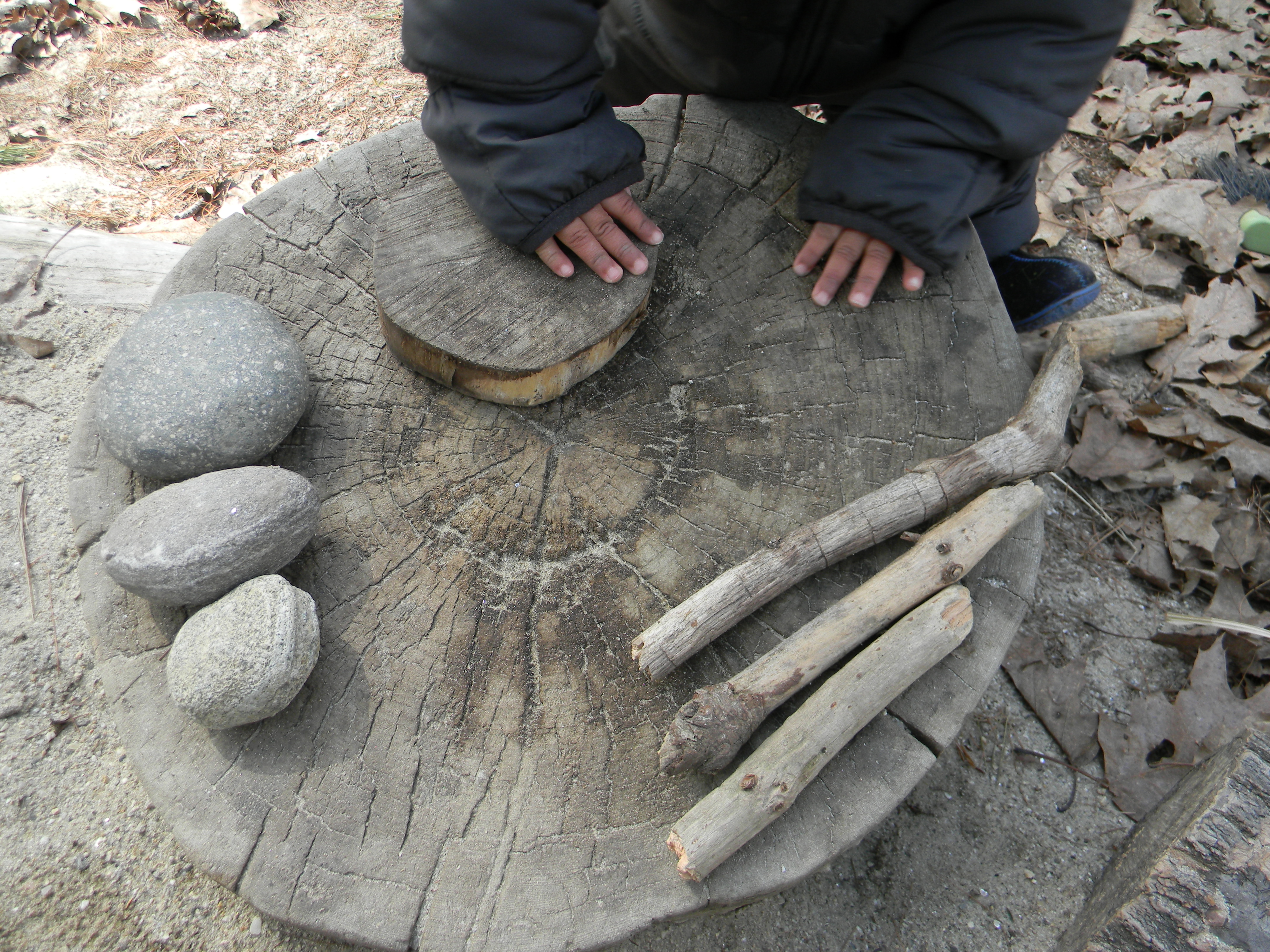Bruno/Hands on stump