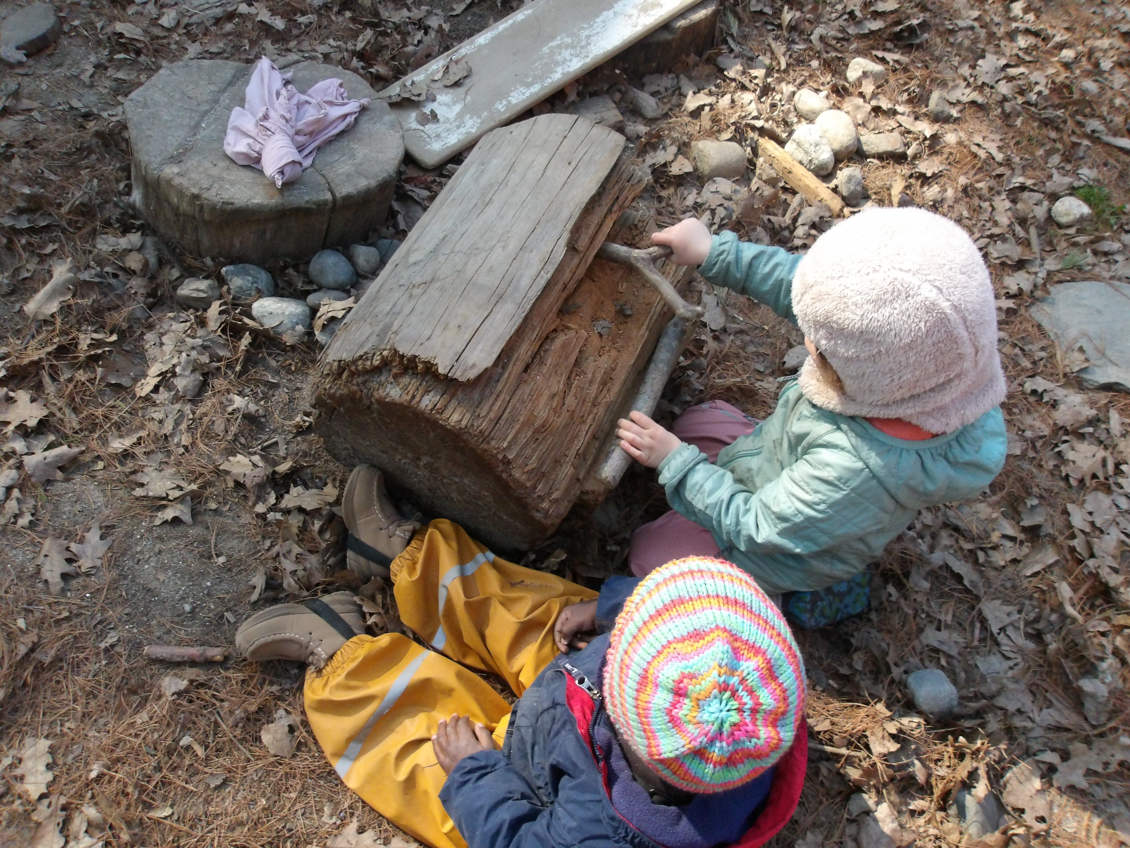 stump investigation