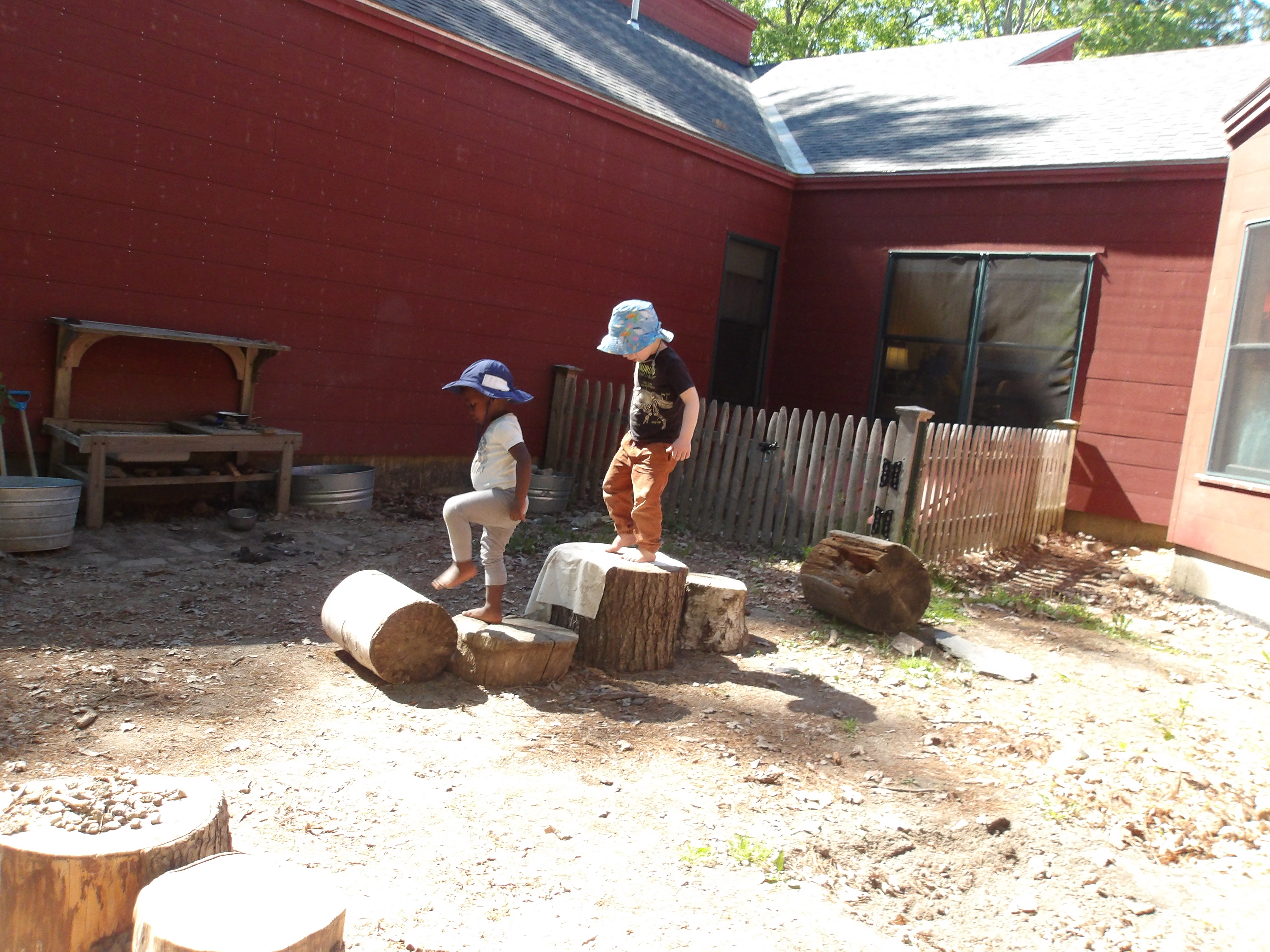 stump investigation