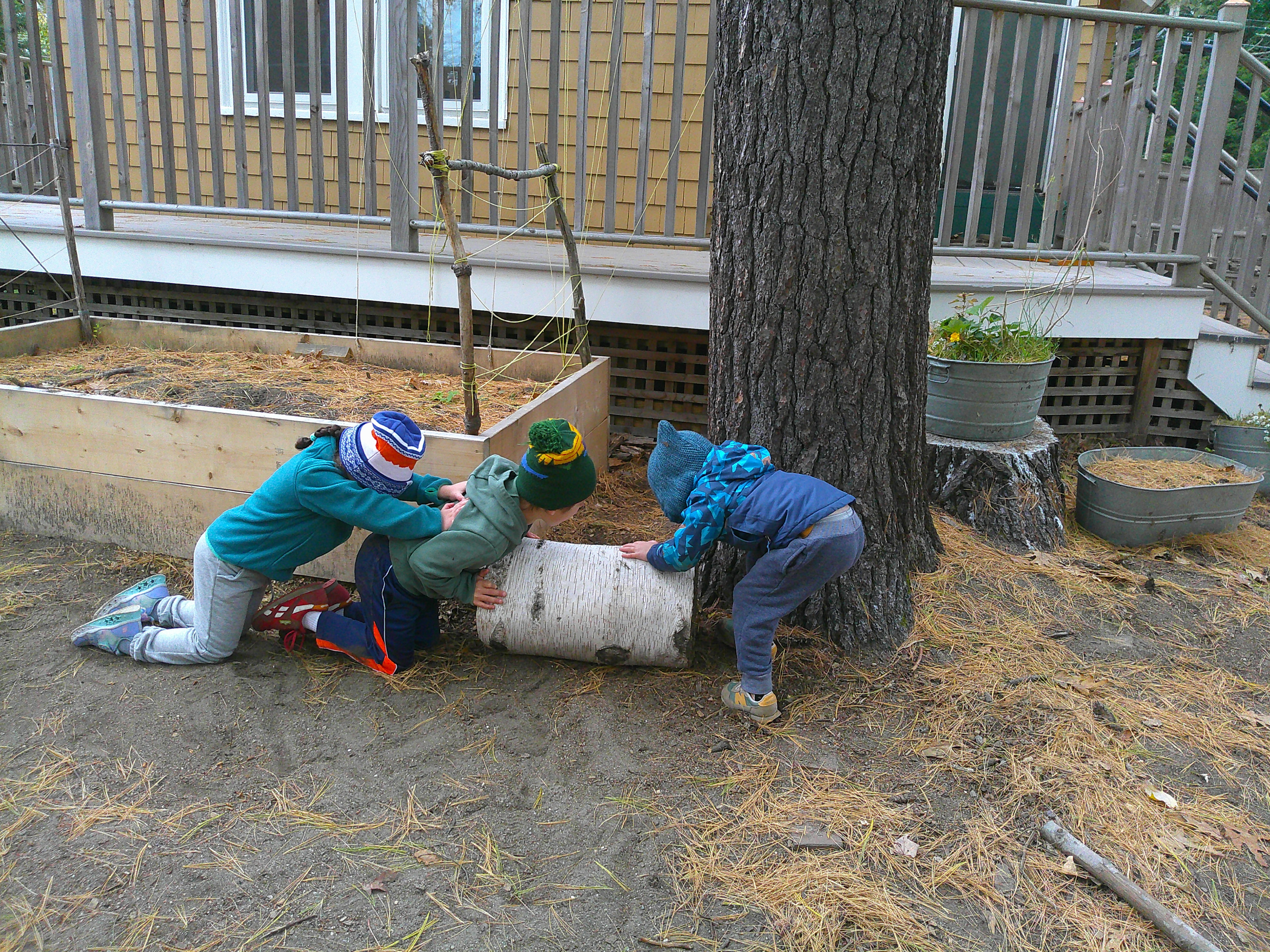 Moving stump