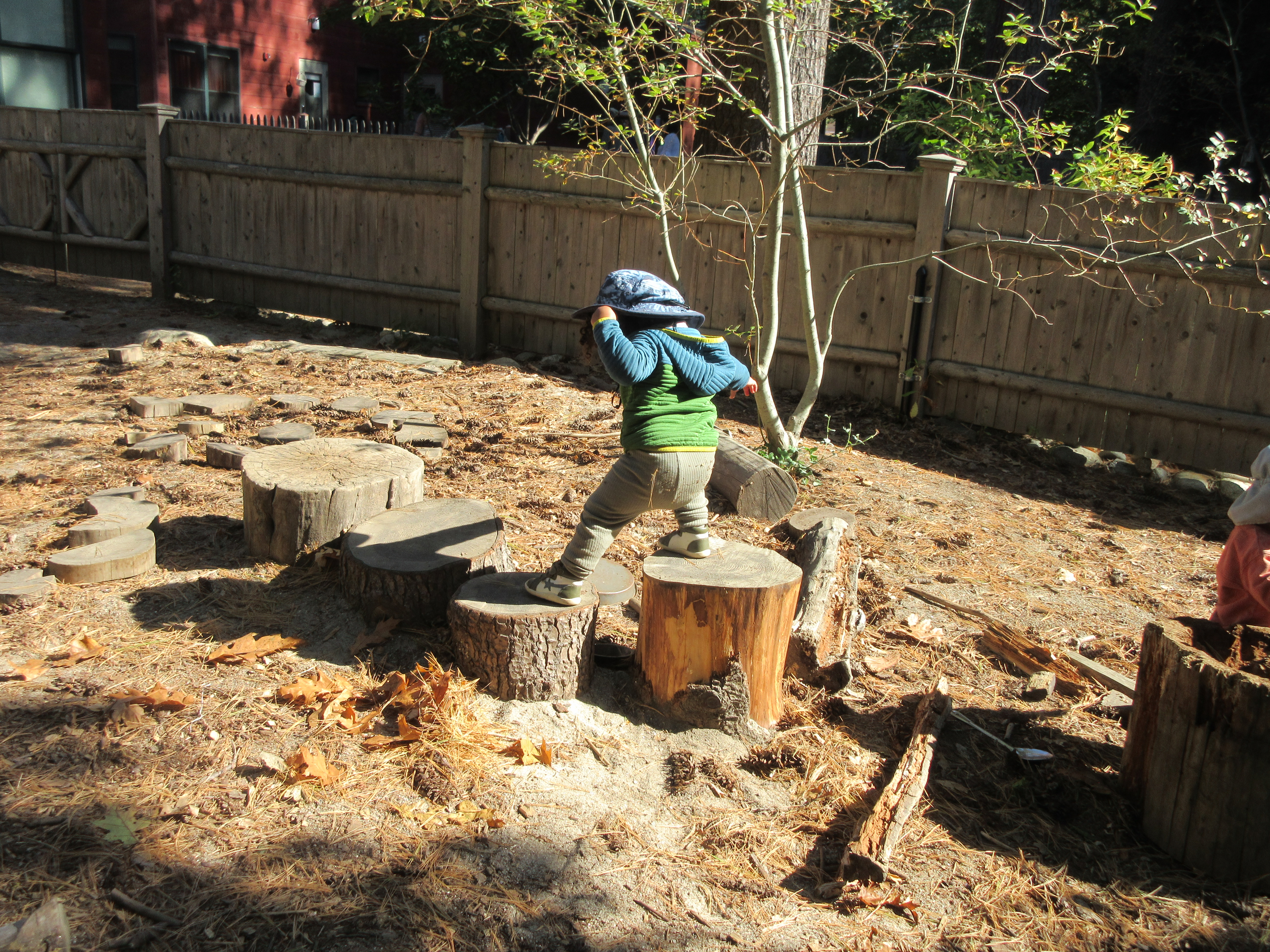 Theo on stumps