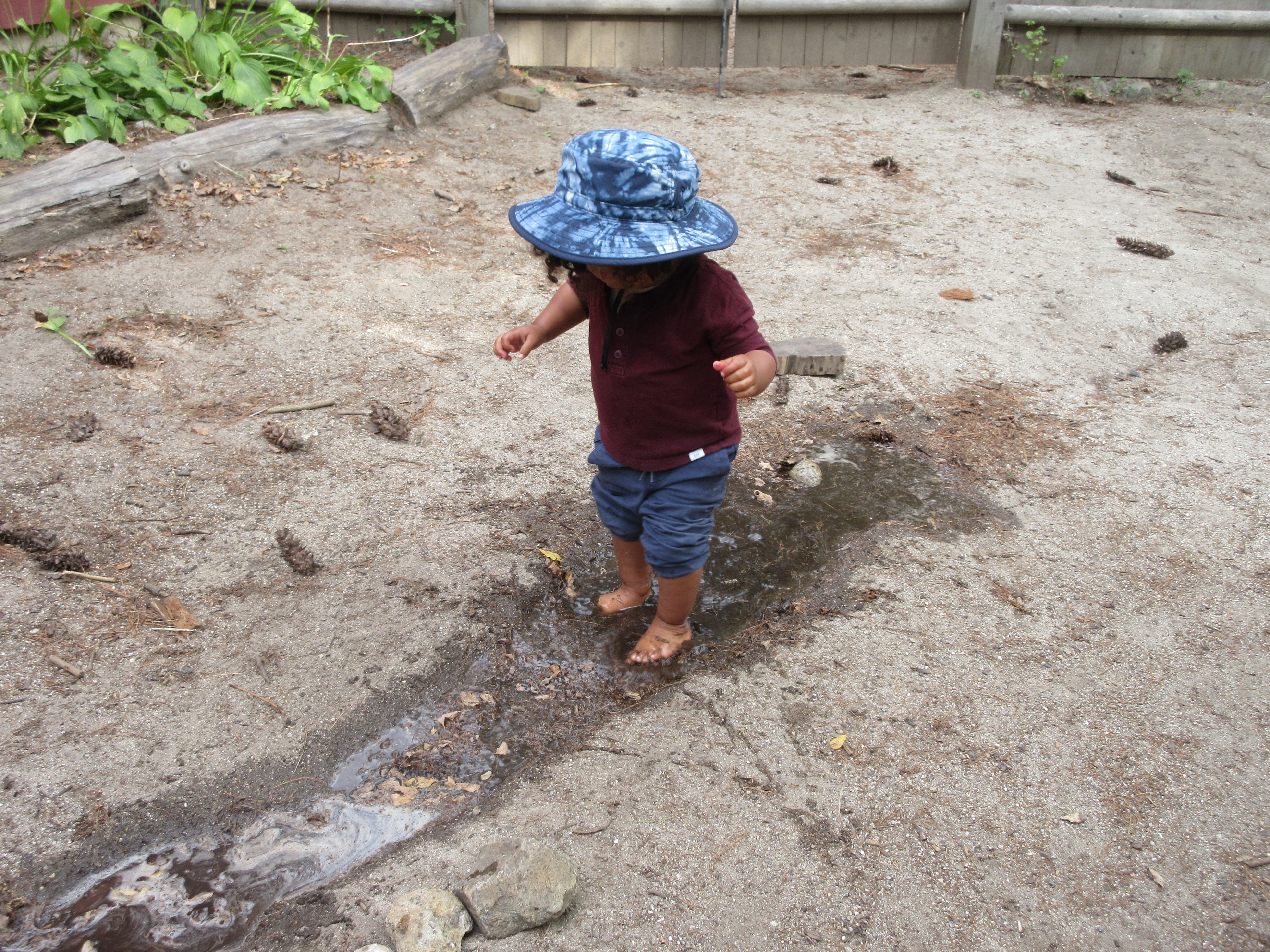 Nature Based Learning