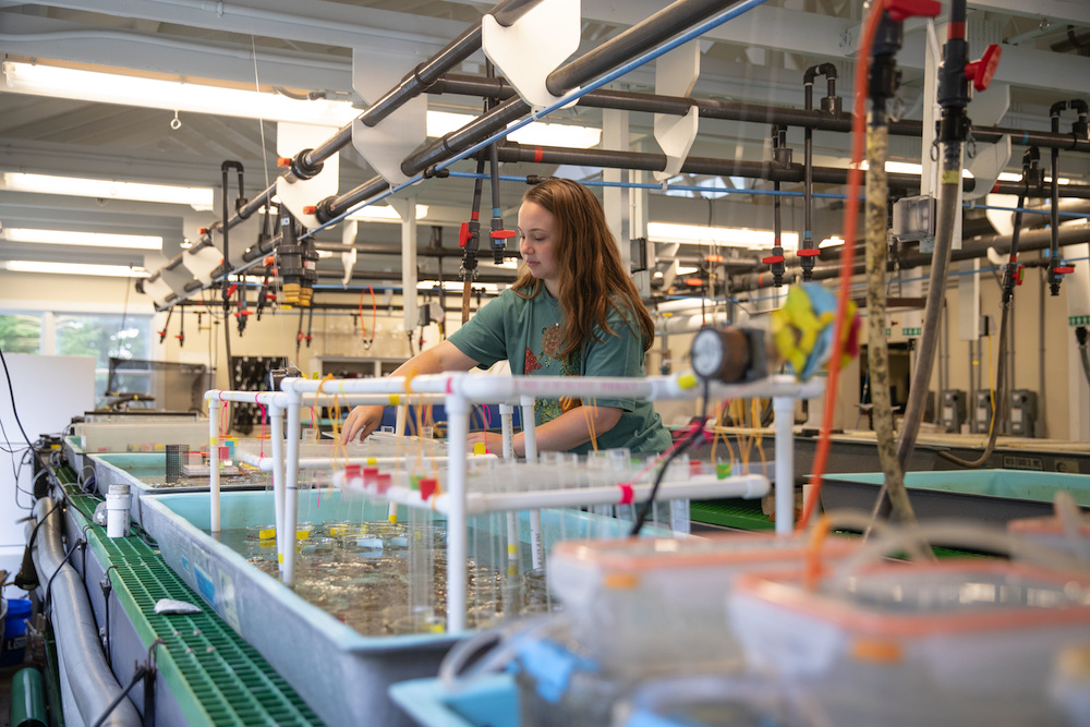 Student in the marine lab