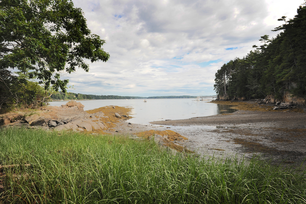 coastal view of schiller coastal studies center