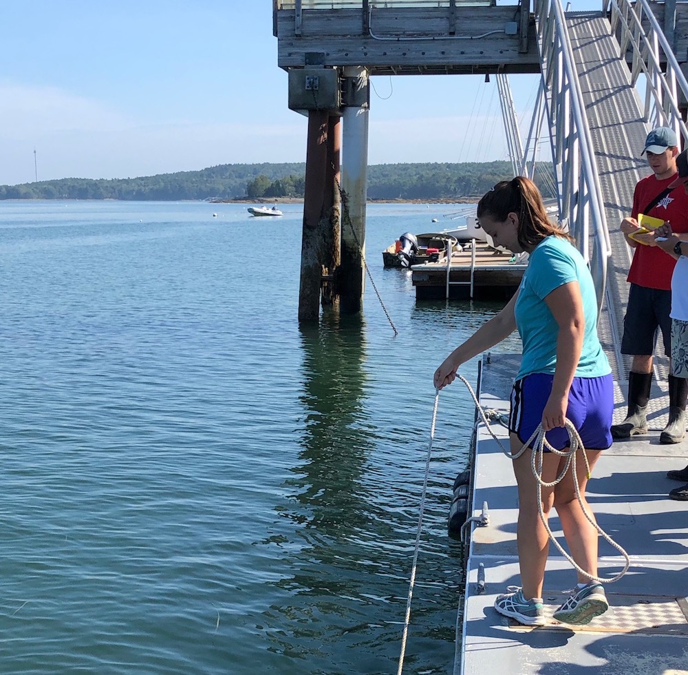 Schiller Coastal Studies Center Bowdoin College