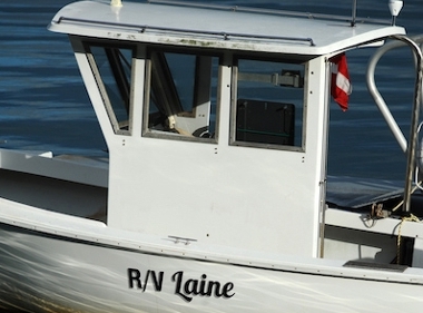 rv laine on the water