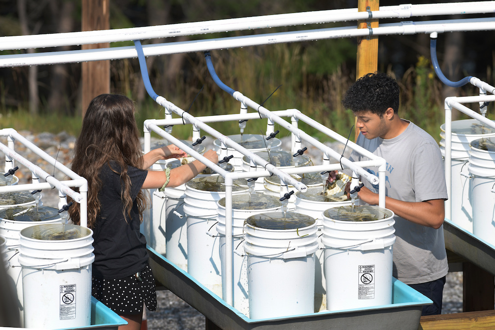 Two students inspecting buckets