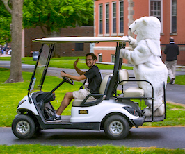 Polar Bear rides on golf cart