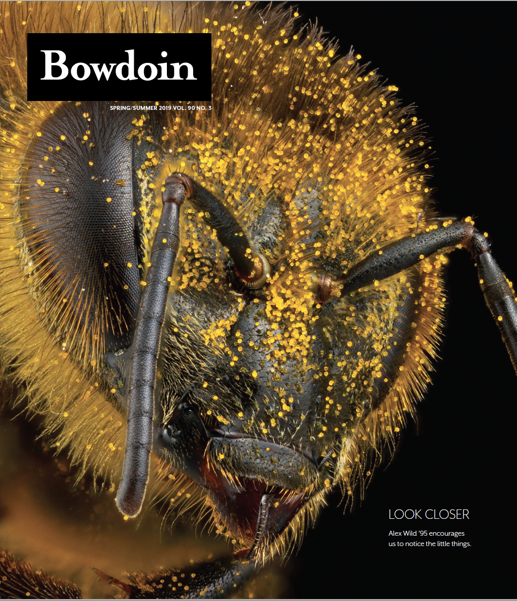 Bowdoin Magazine cover, spring/summer 2019