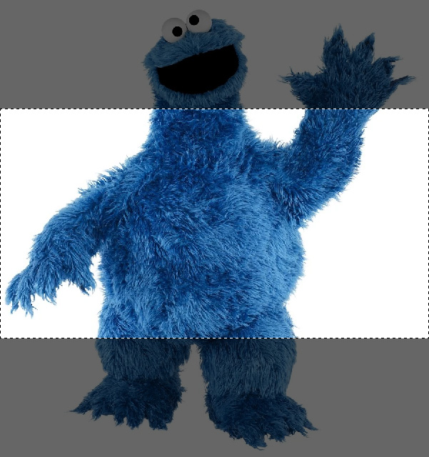 Cookie Monster receiving an unflattering auto-crop