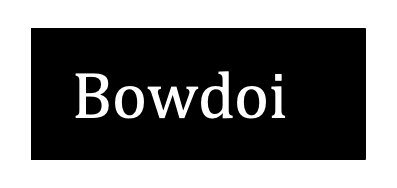 DIY Bowdoin wordmark
