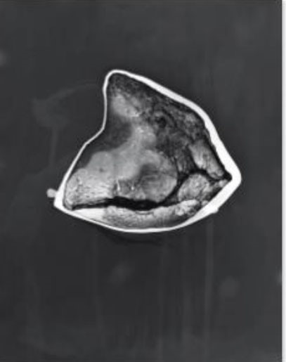 a shape on a gray background