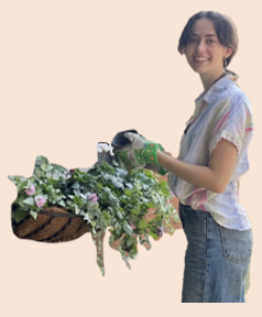 Alex holds plants for planting in the historic gardens​.