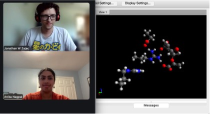Screenshot of Anika Nagpal during virtual zoom