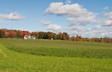 landscape of field and blue sky
