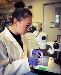 Elizabeth looking into microscope at fish