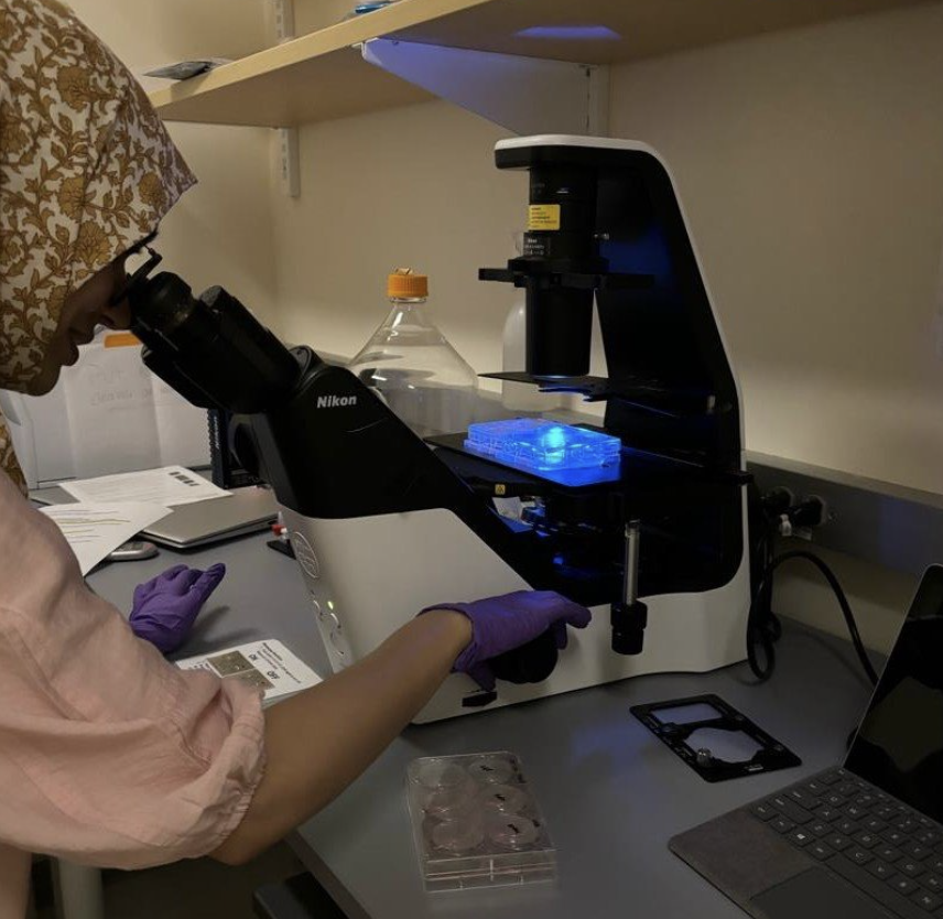 Emma studies a microscope while working in the lab.
