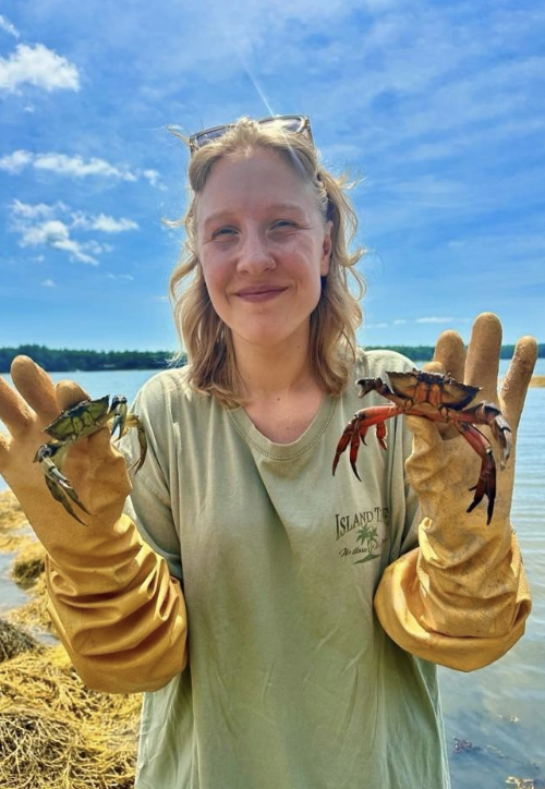 Iris holds up two green crabs, part of their work with the Coastal Resources Office.