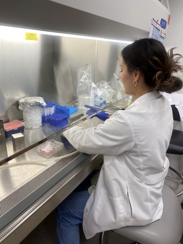 Julia works at lab station, looking at cell culture and RNA harvest.