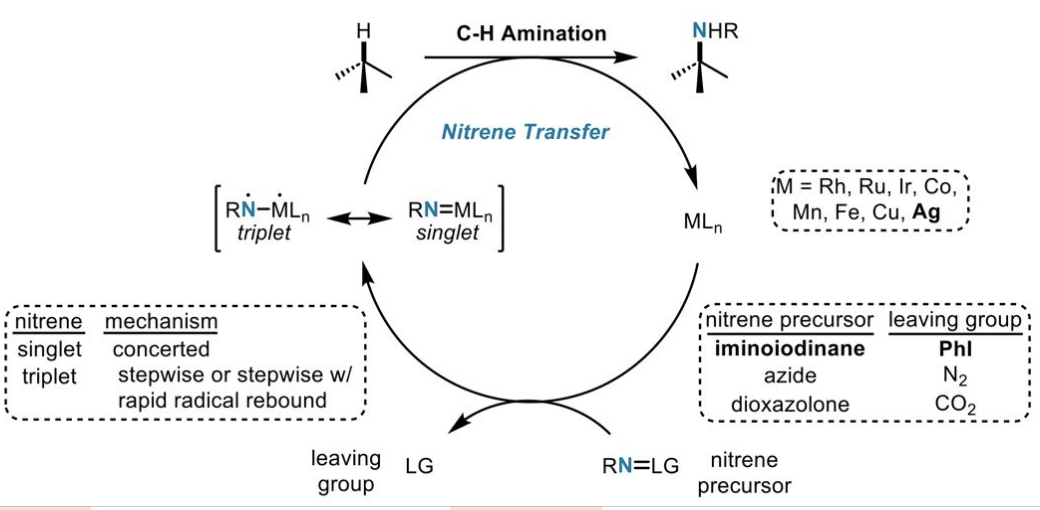 An diagram of Miles's research.